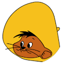 Ian Dally profile picture